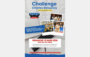 Tournoi de Boissise le Roi